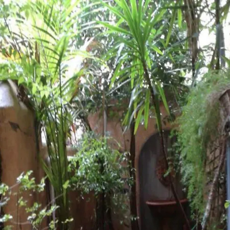 Independent With Garden Heart Of Trastevere John Cabot-3